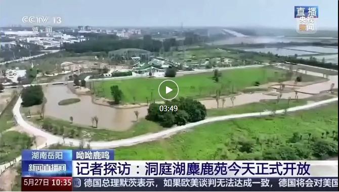 央視報(bào)道 | 易大設(shè)計(jì)EPC項(xiàng)目-湖南東洞庭湖麋鹿和鳥(niǎo)類(lèi)救助避難中心正式開(kāi)園